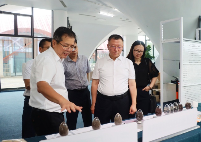 钦州市副市长赵闯调研中国—东盟(绿色棕榈...